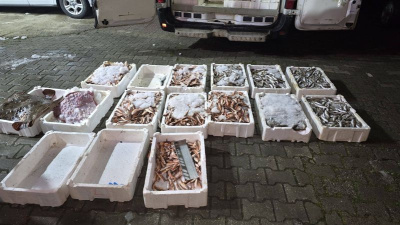 Yasa dışı avlanan 1,5 ton balığa el konuldu