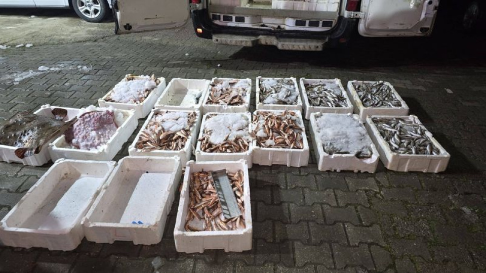 Yasa dışı avlanan 1,5 ton balığa el konuldu