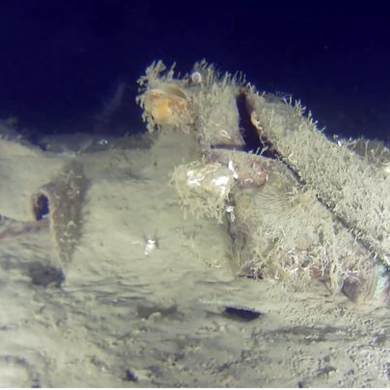 Marmara Denizi'ne düşmüştü! 50 yıl sonra yeni parçaları bulundu