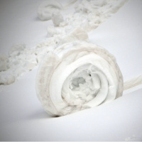 Ilgaz'da doğanın ender olayı...