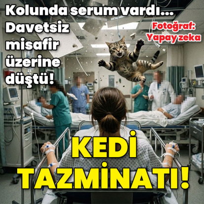 Kolunda serum vardı... Davetsiz misafir üzerine düştü! 50 bin TL kedi tazminatı!
