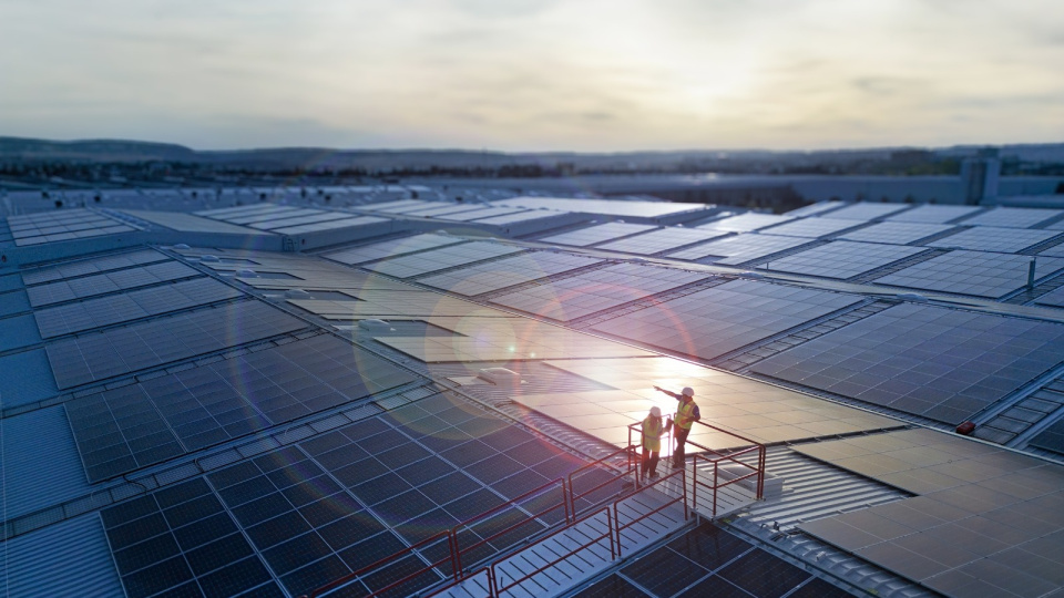 Sürdürülebilirlikte global başarı