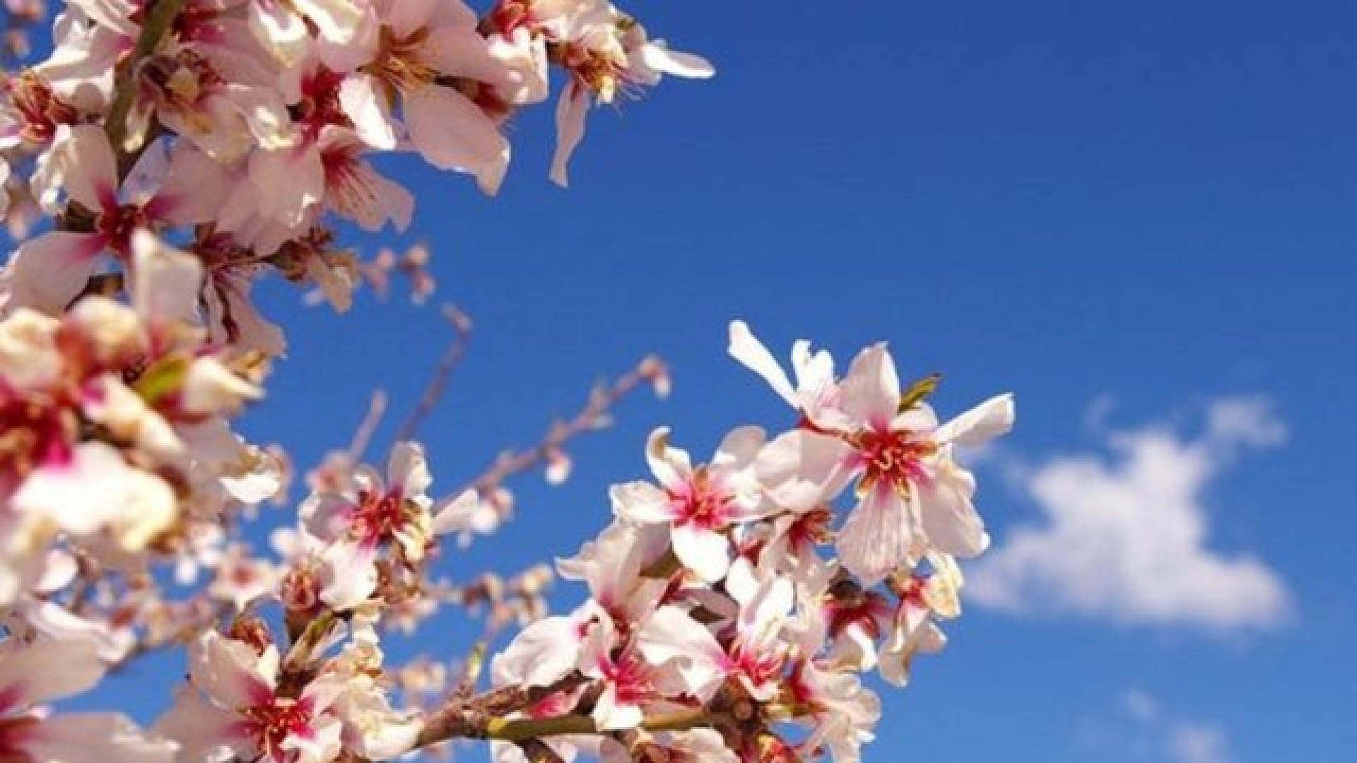 Cemre düşmesi ne zaman, sırasıyla hangi tarihte düşecek? 2026 Cemre düşme tarihleri