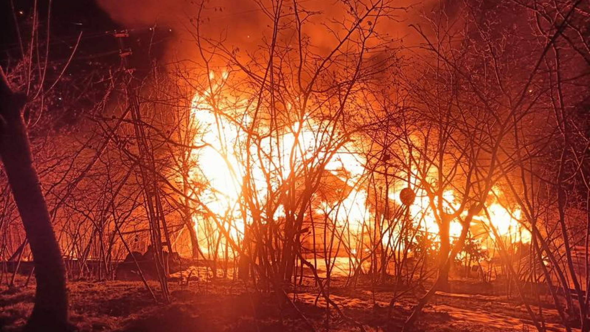 Ordu'da ev yangını sonrası esrarengiz olay | Son dakika haberleri