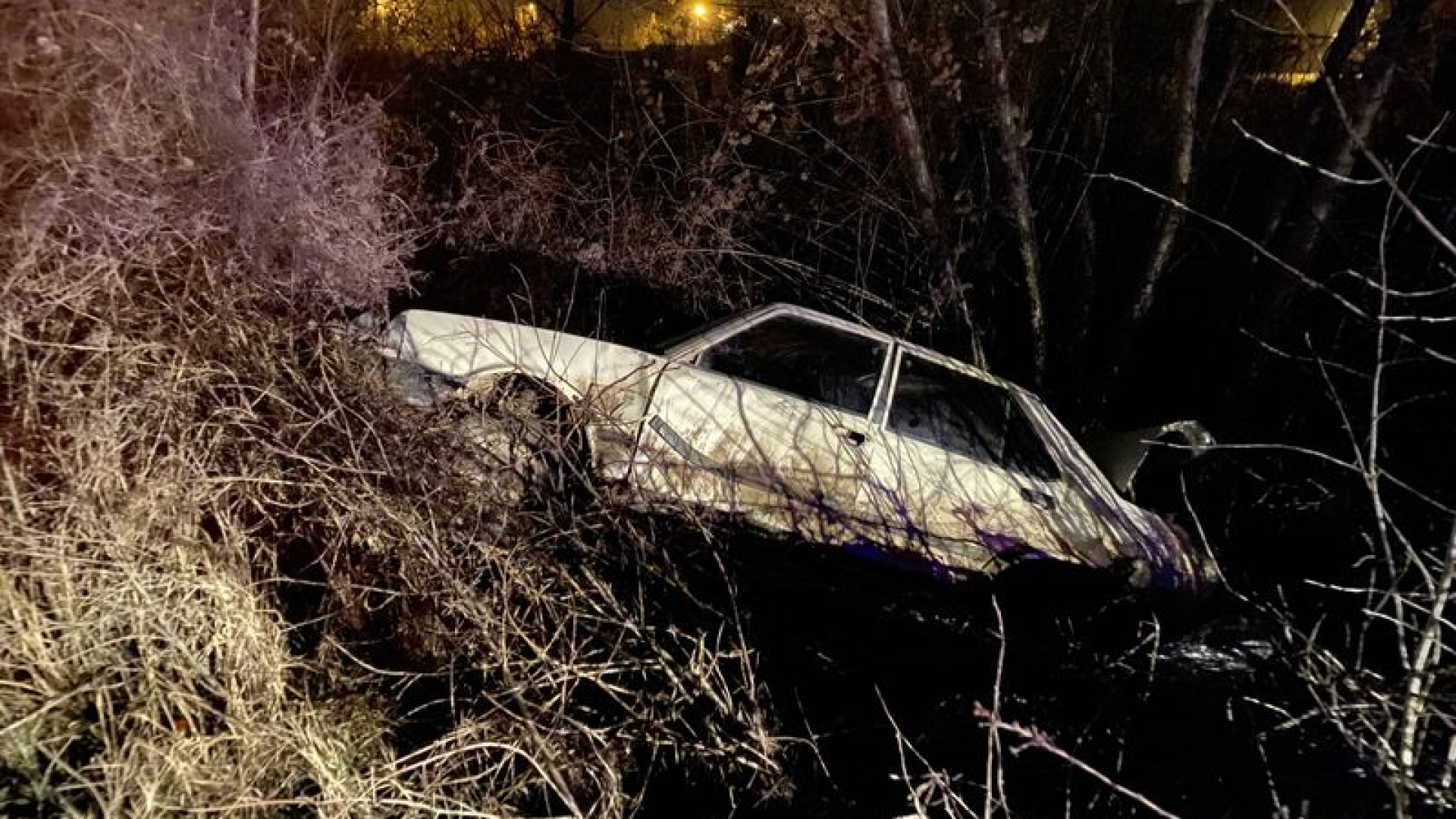 Kastamonu'da Ağaca Çarpan Otomobil Hurdaya Döndü, Sürücü Hayatını Kaybetti