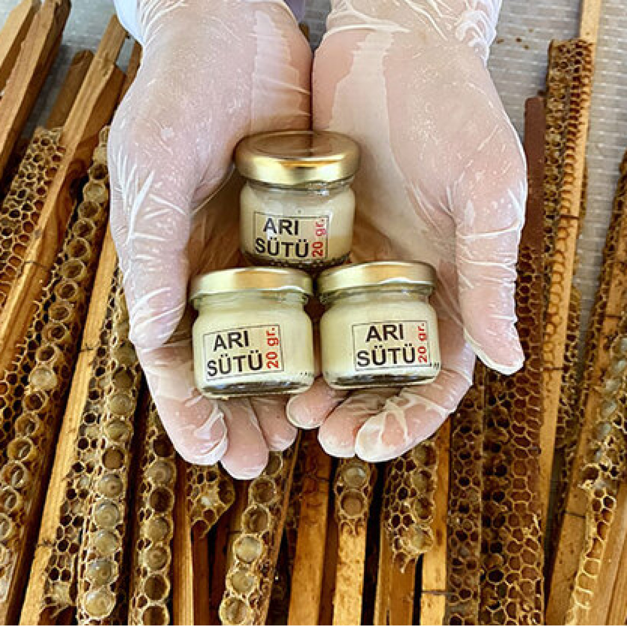 Arı sütü nedir?