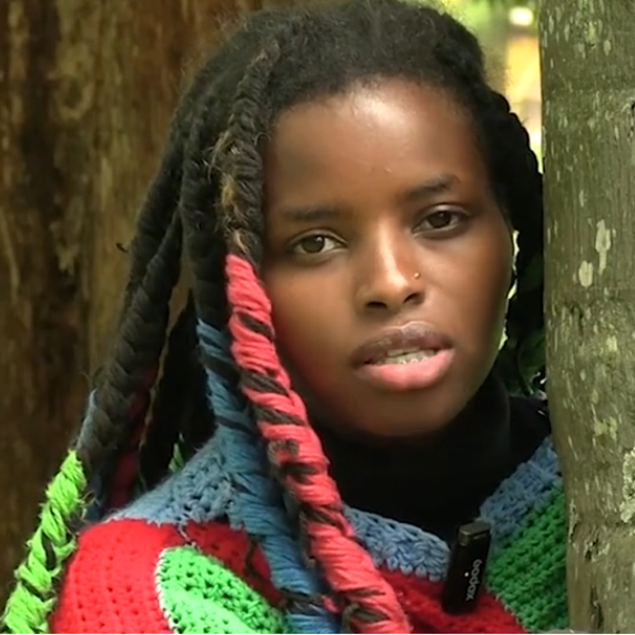 3 gün ağaca sarıldı, Guinness rekoru kırdı