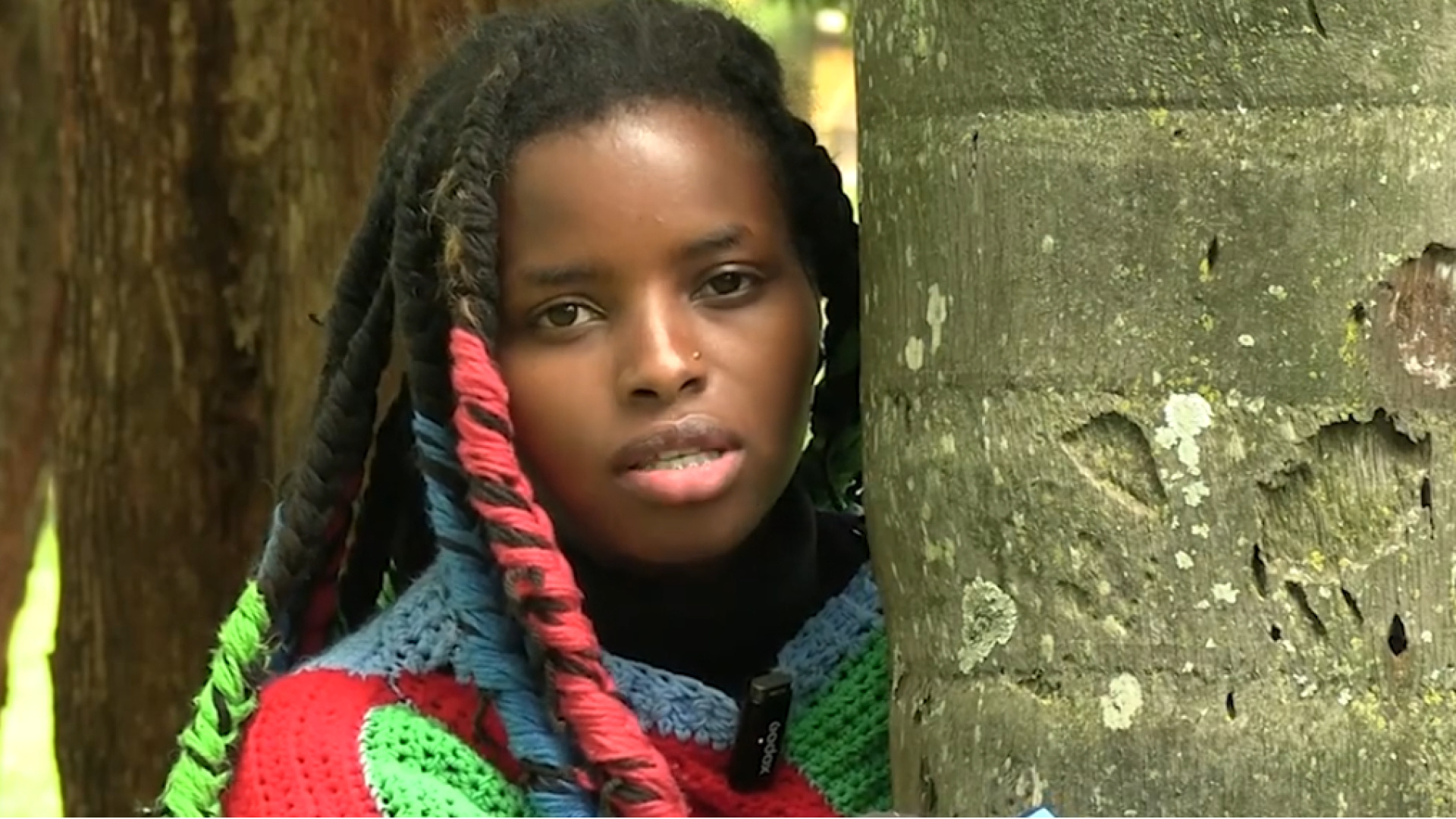 3 gün ağaca sarıldı, Guinness rekoru kırdı