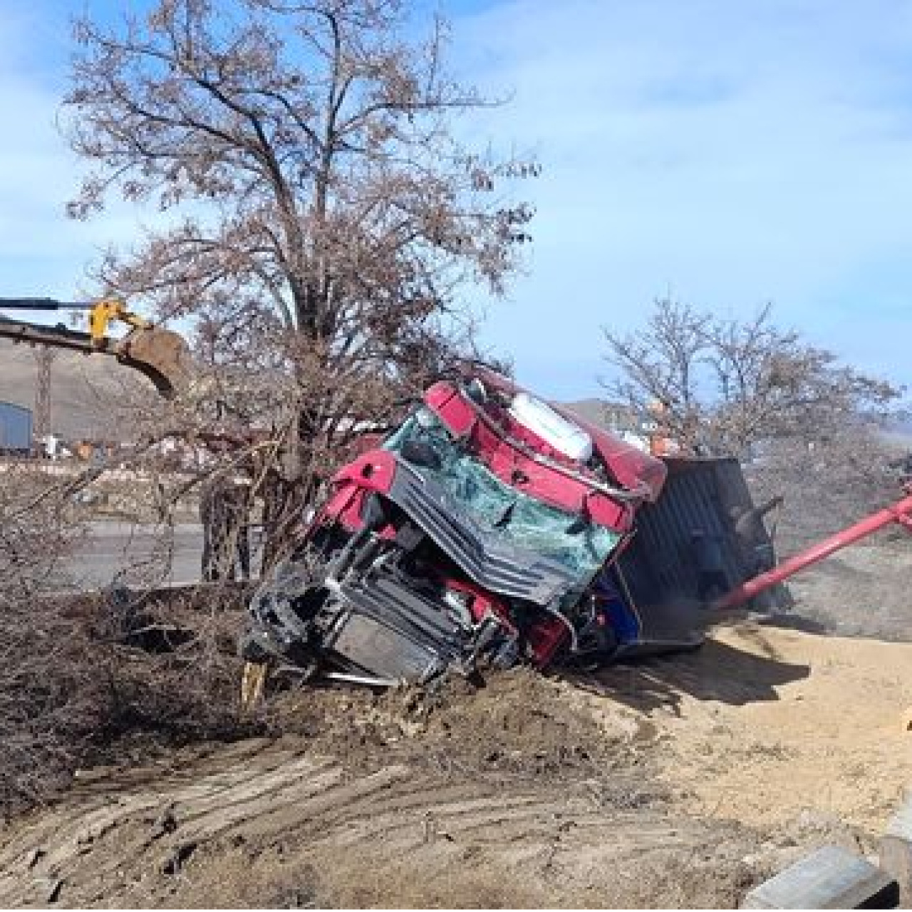 TIR, refüje ve ağaca çarparak devrildi