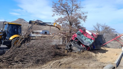 TIR, refüje ve ağaca çarparak devrildi
