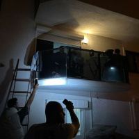 Dilruba'nın katili: Linçten korkup balkondan atladım