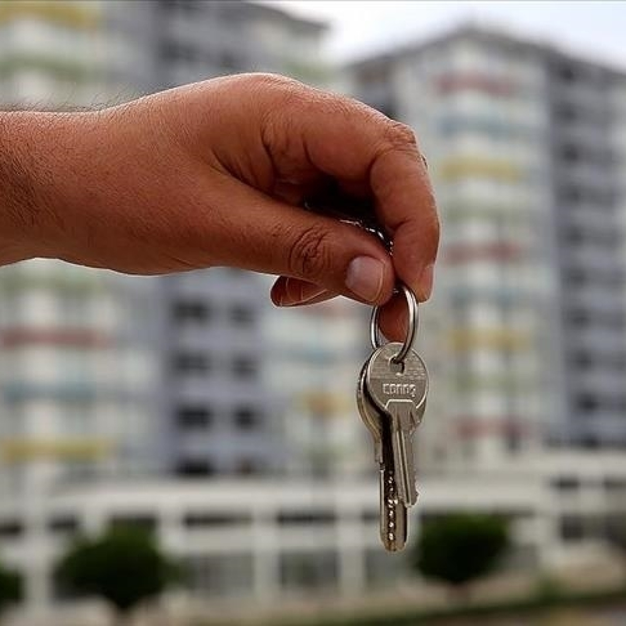 İlanlarda doğrulama dönemi başlıyor