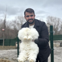 Türkiye'de nesli tükenmişti! Sayı 130'a ulaştı