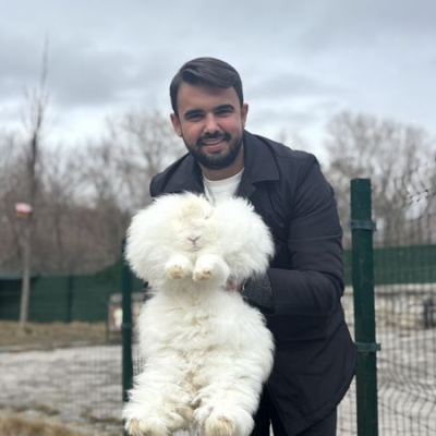 Türkiye'de nesli tükenmişti! Sayı 130'a ulaştı