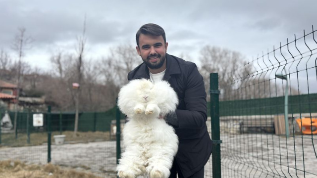 Türkiye'de nesli tükenmişti! Sayı 130'a ulaştı