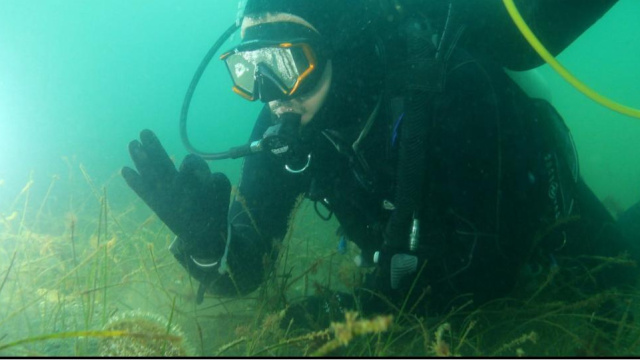 Marmara Denizi yeniden nefes alıyor