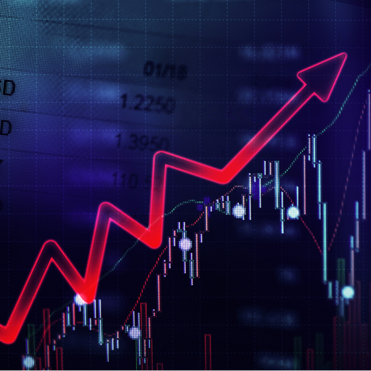 Best Brands halka arz oluyor