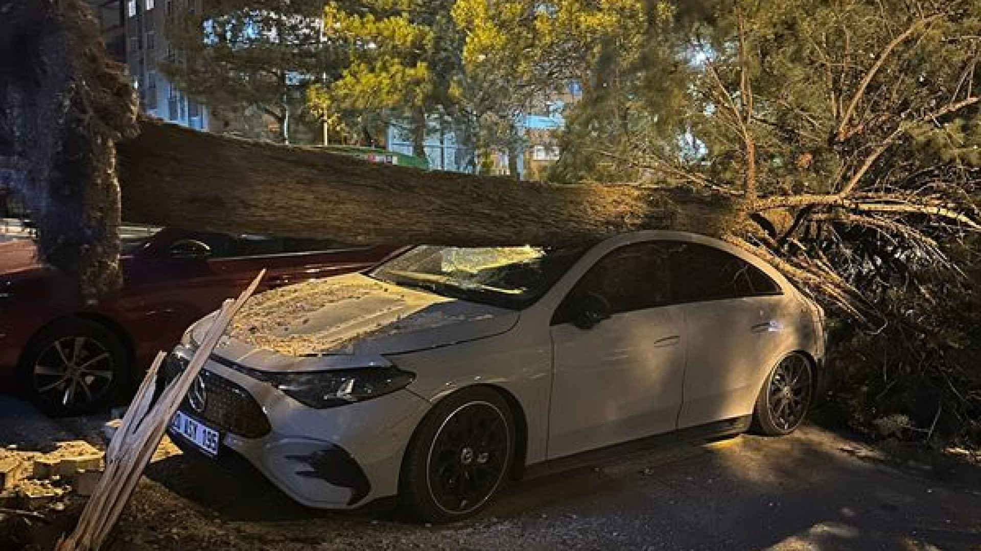 Denizli'de Şiddetli Fırtına: Ağaçlar Devrildi, Çatılar Uçtu, Lüks Araç Hasar Gördü