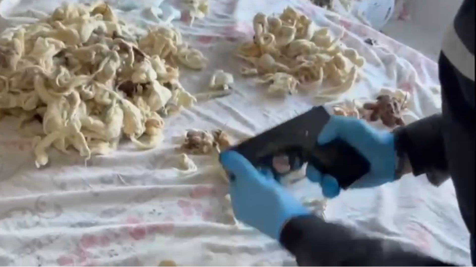 Yastıklardan çıktı! Takside market poşetiyle silah kaçakçılığı | Son dakika haberleri