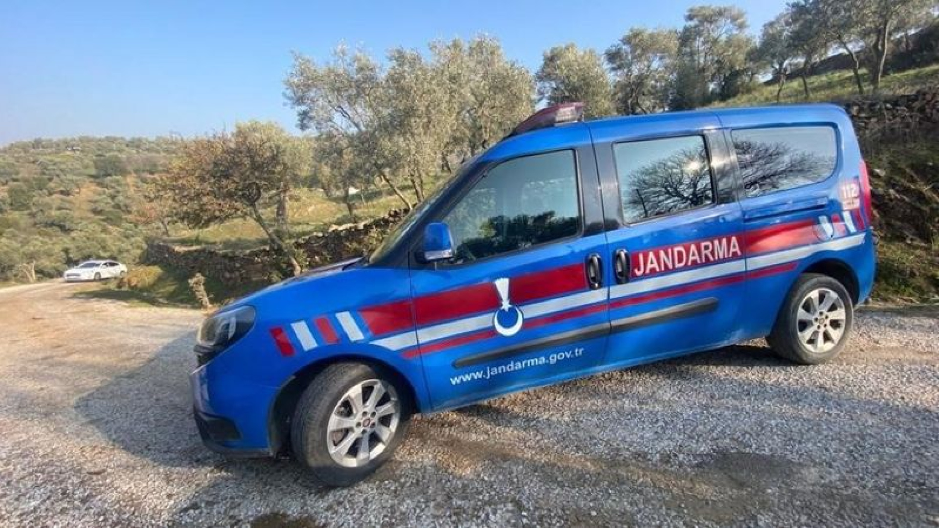 Karacasu'da 77 Yaşındaki Yaşar Dumanlar Başından Vurularak Ölü Bulundu