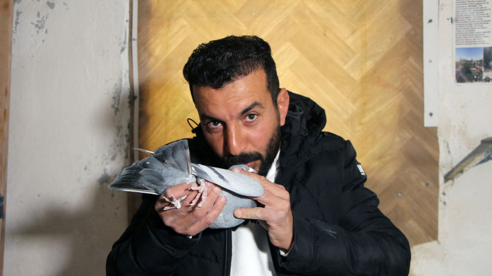Adana'da 'Evladım' Dediği Güvercinini Bulana 75 Bin TL Ödül Verecek