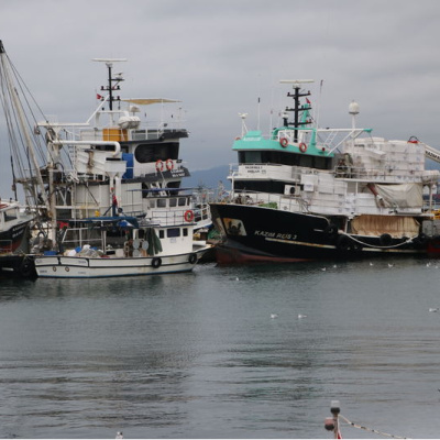 Tekirdağ'da deniz ulaşımına lodos engeli