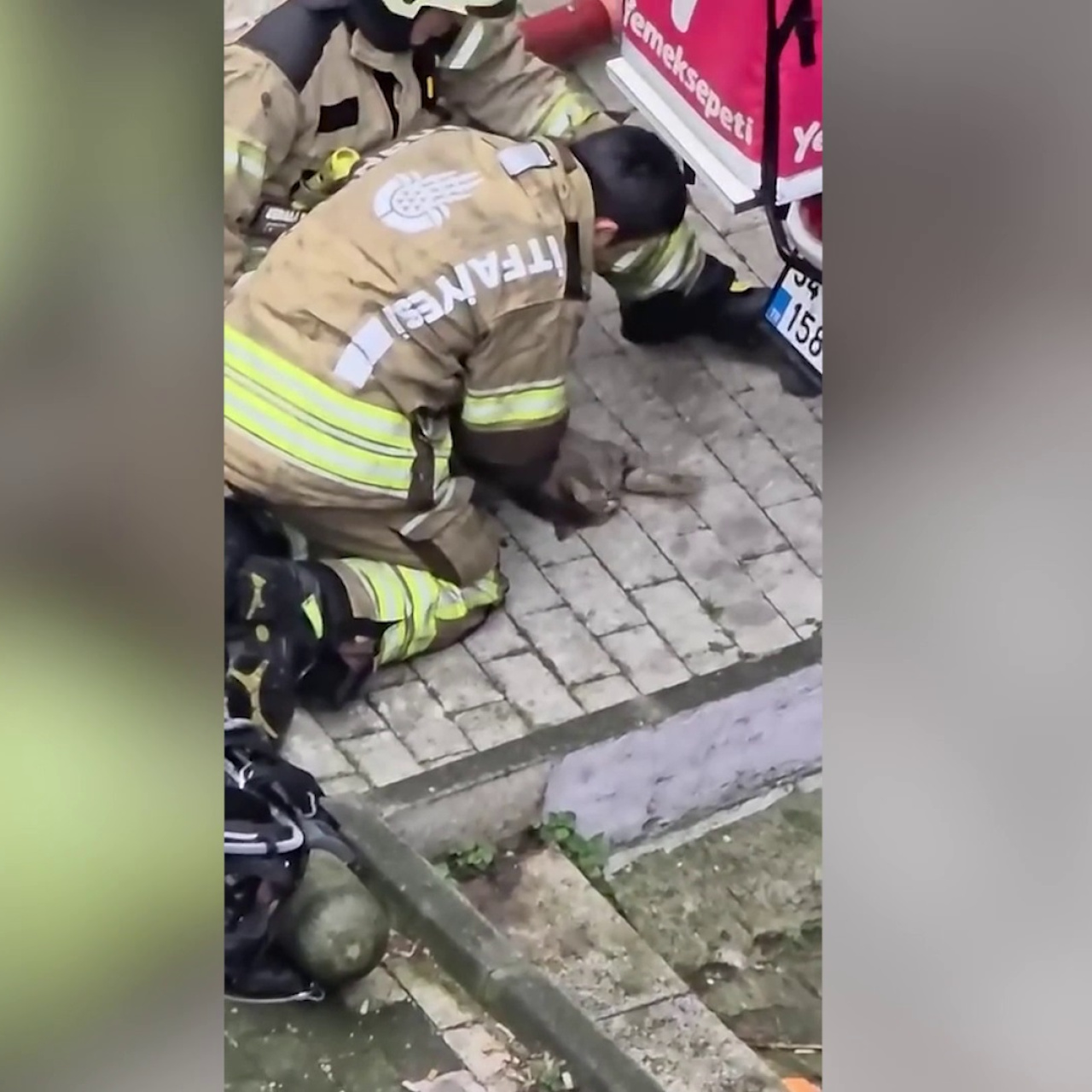 Kediyi kalp masajıyla kurtardı