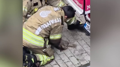 Kediyi kalp masajıyla kurtardı