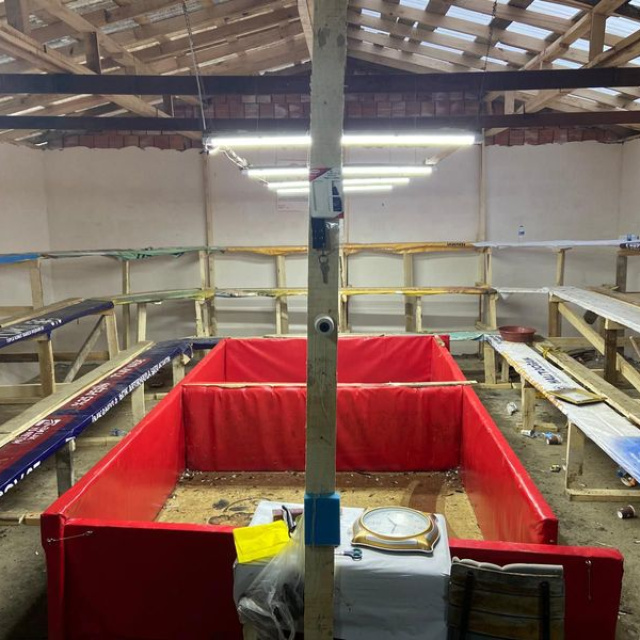 Horoz dövüştürenlere 1 milyon lira ceza