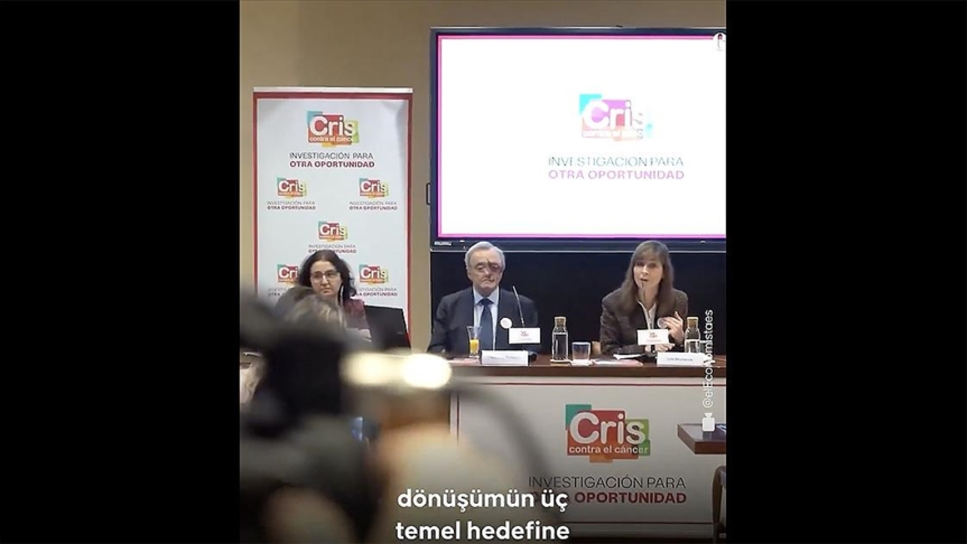İspanya'da Farelerde Pankreas Kanseri Tedavi Edildi: Üçlü Kombinasyon Terapisi