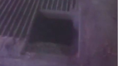 Mısır silosuna düşerek can verdi