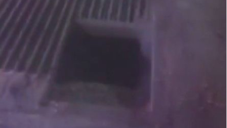 Mısır silosuna düşerek can verdi