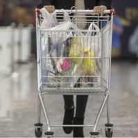 BİM 3-6 Şubat aktüel kataloğu