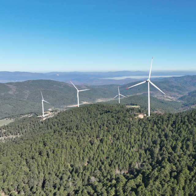 Enerjisa Üretim, Türkiye’de rüzgarda 1.000 MW’a ulaşan ilk şirket oldu