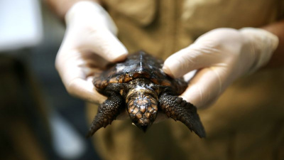 'Arda'nın iyileşmesi için yoğun mesai