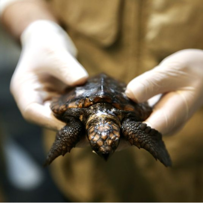 'Arda'nın iyileşmesi için yoğun mesai