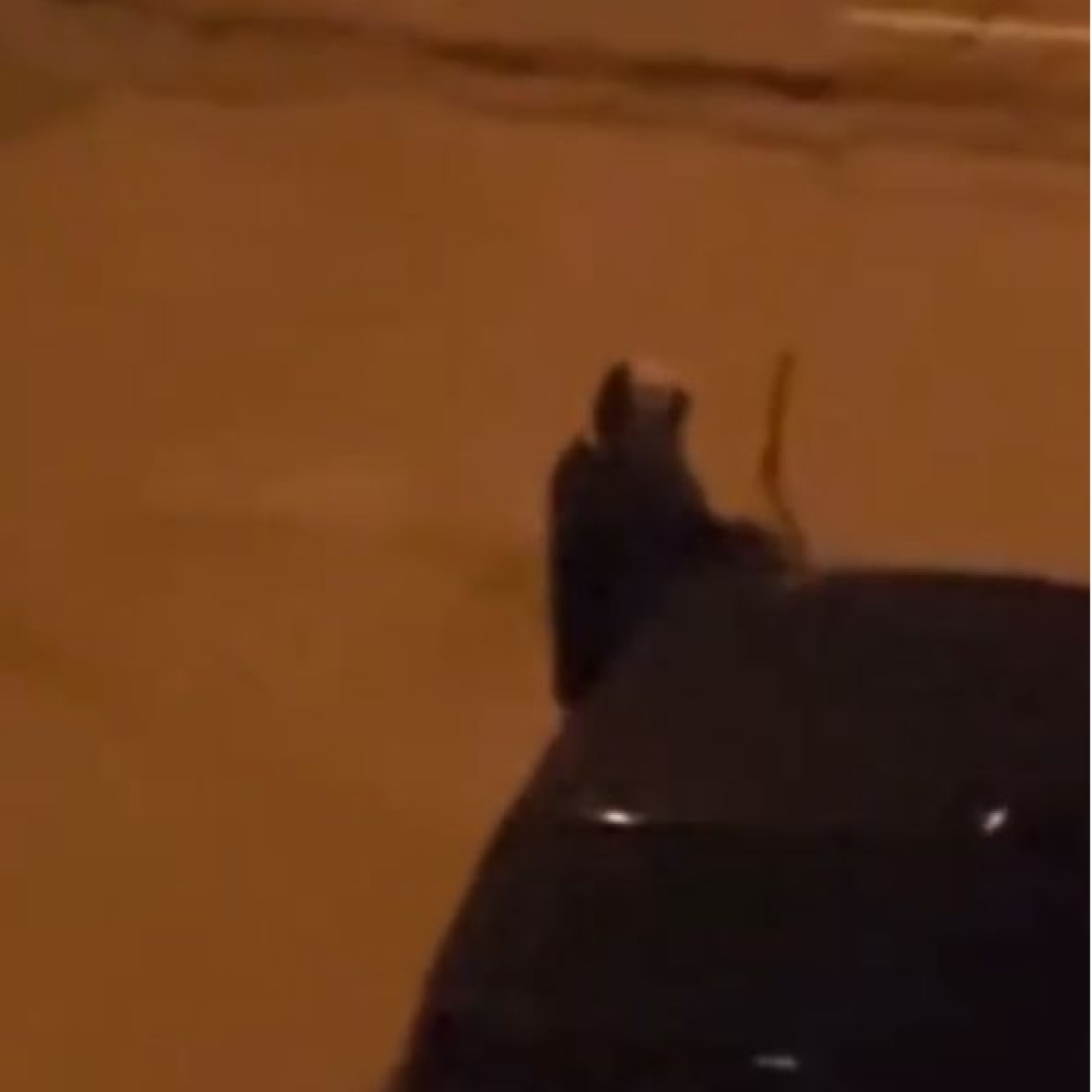 Çok sayıda aracın sileceklerini kırdı!