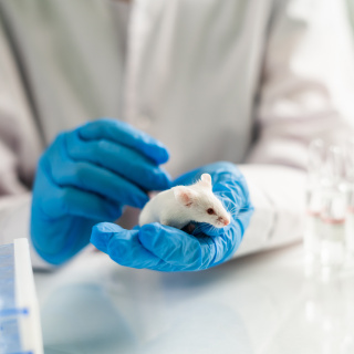 Pankreas kanserini tedavi eden araştırmacılara klinik deneyler için en az 30 milyon euro gerekiyor