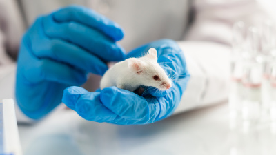 Pankreas kanserini tedavi eden araştırmacılara klinik deneyler için en az 30 milyon euro gerekiyor