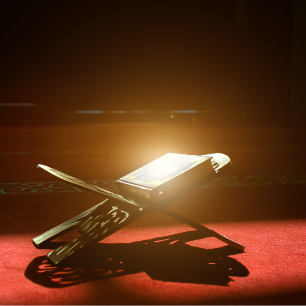 Berat Kandiline özel TV programları