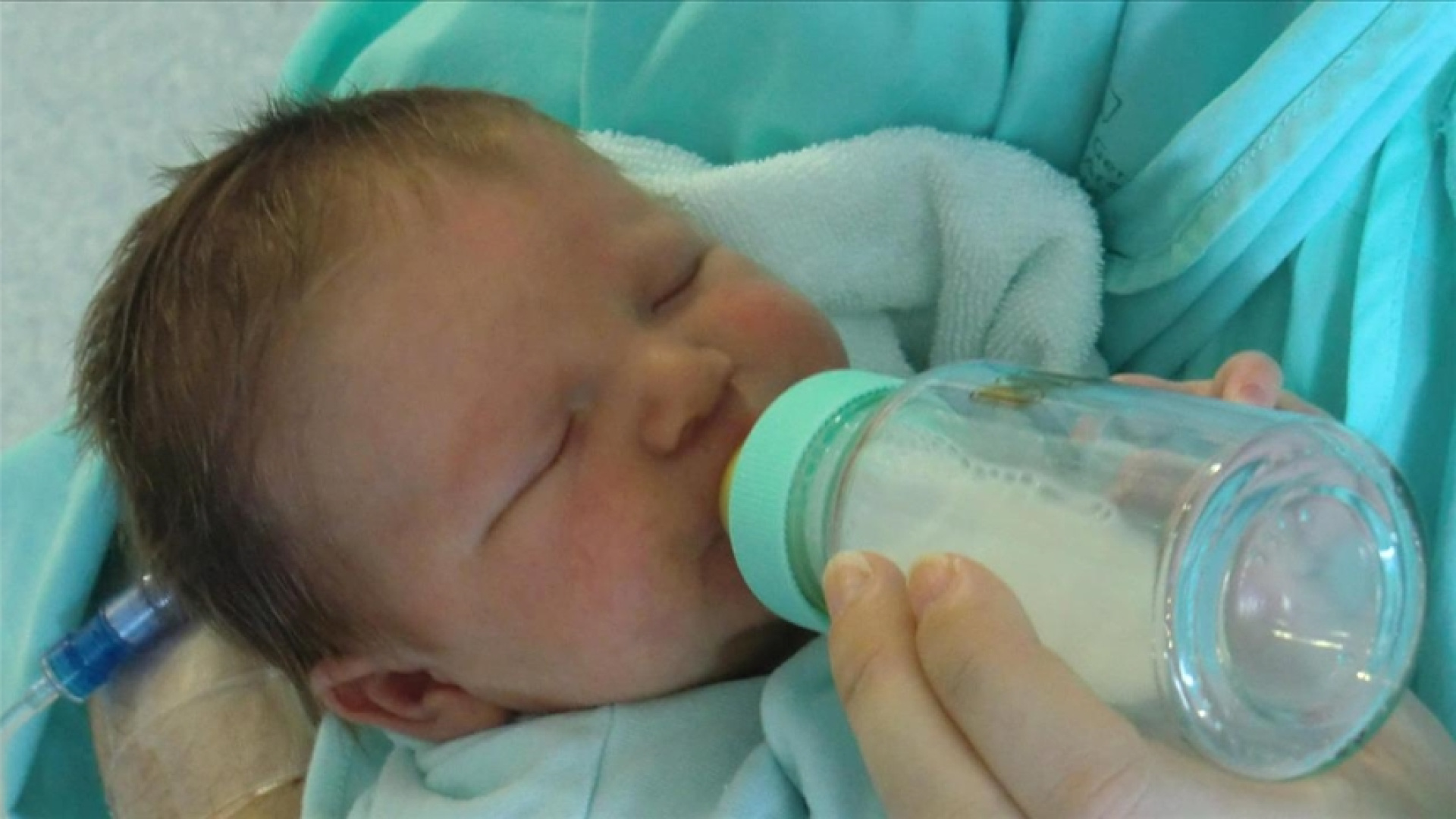 AB, Bebek Mamalarındaki Sereulid Toksini İçin Yeni Güvenlik Sınırı Önerdi