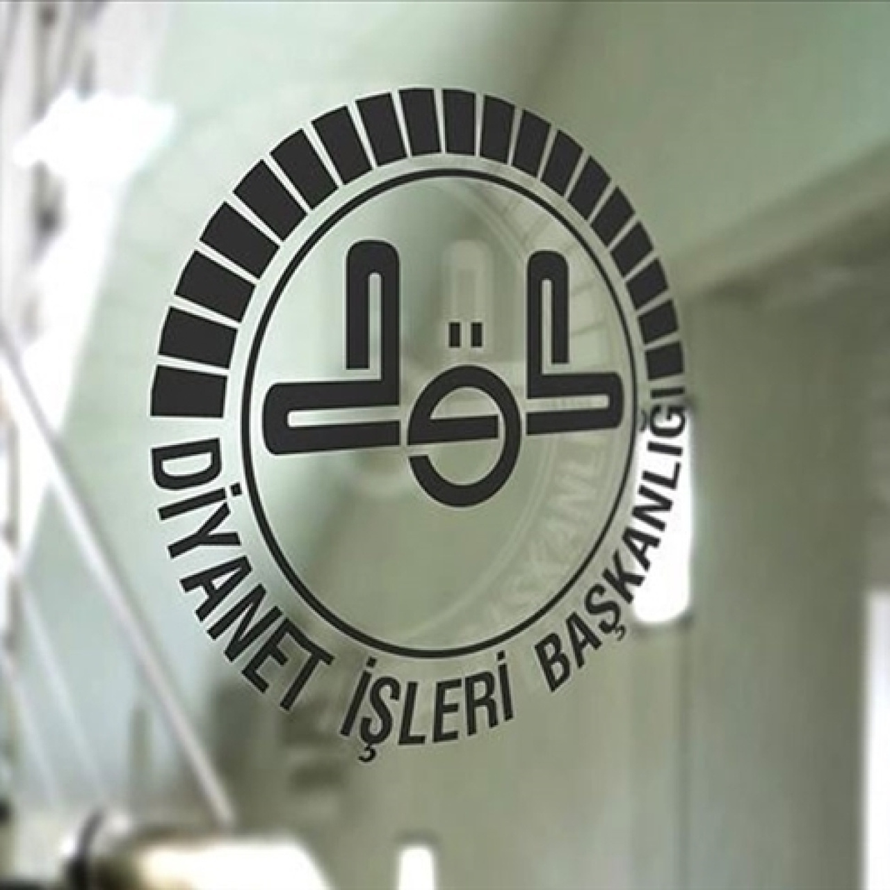 Karınca öldürmek günah mı?