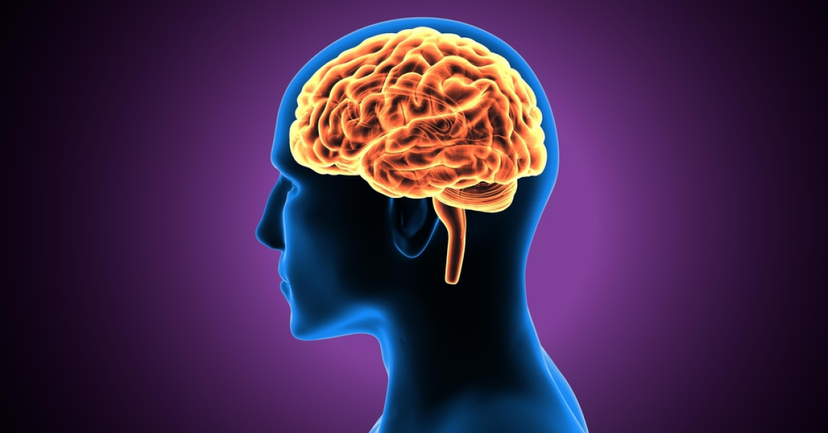 Yedikleriniz beyninizi nasıl etkiliyor?