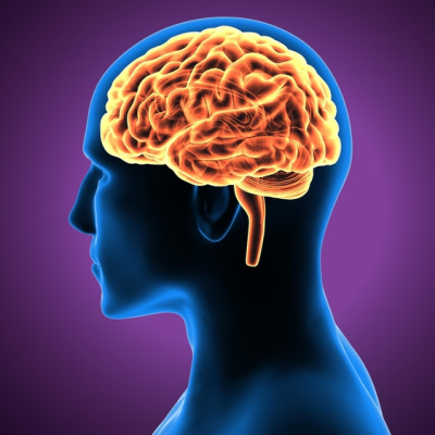 Sofranız beyninizi nasıl etkiliyor?