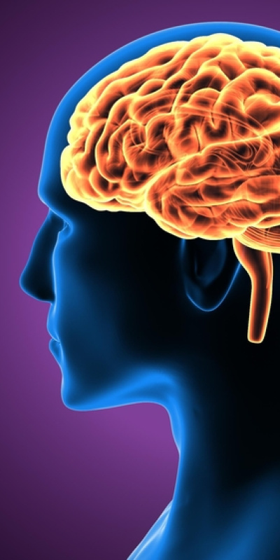 Sofranız beyninizi nasıl etkiliyor?