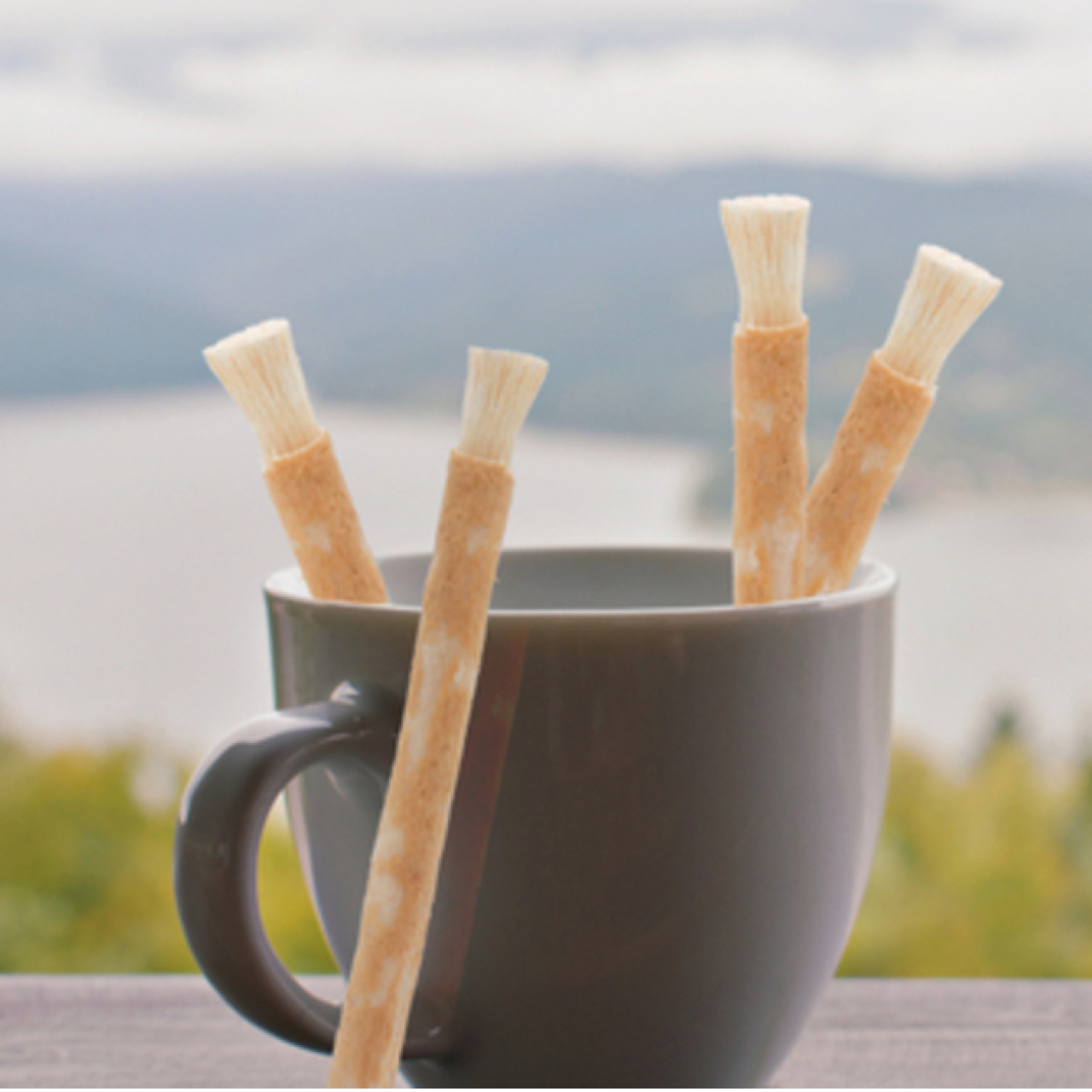 Misvak orucu bozar mı?