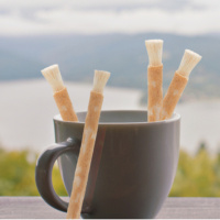 Misvak orucu bozar mı?