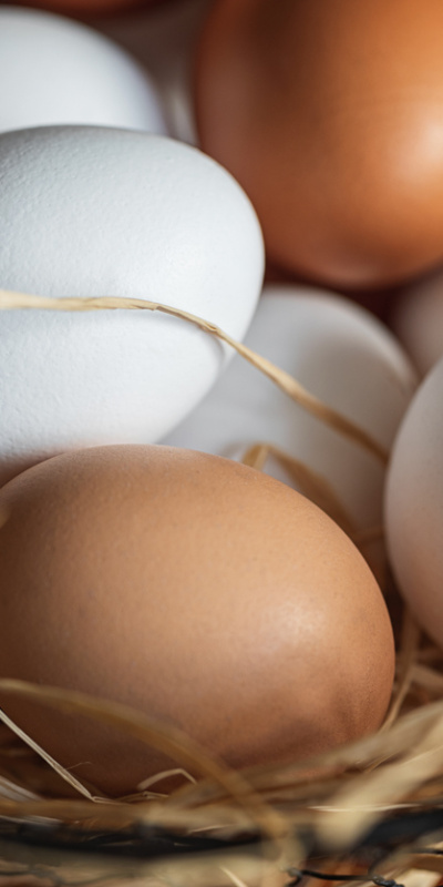 Renkleri farklı yumurtalarda fark var mı?
