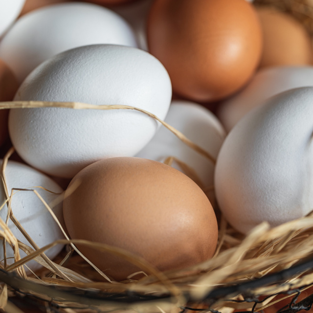 Renkleri farklı yumurtalarda fark var mı?