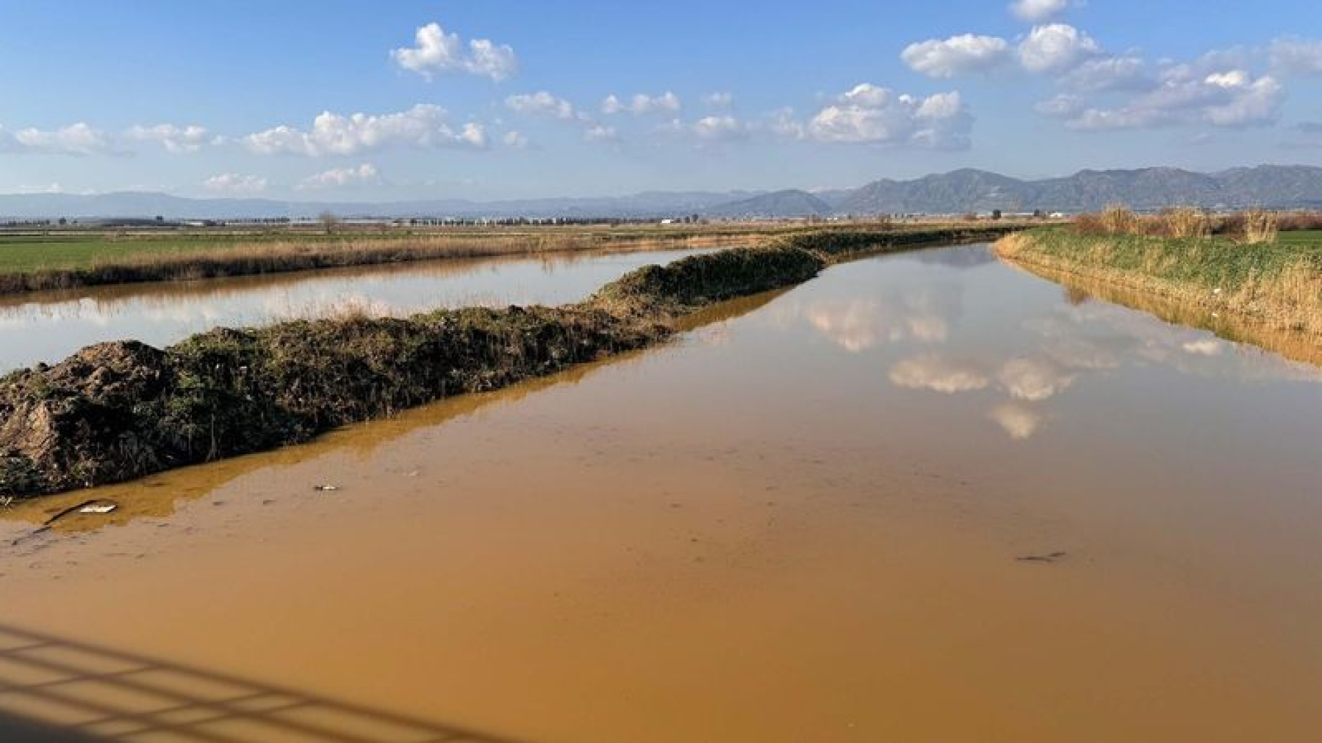 Menderes Nehri taştı: 2 bin dönümlük arazi sular altında kaldı